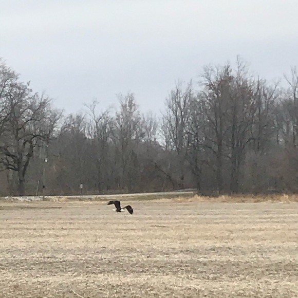 Meet your Posher, Adrienne -Posh Ambassador✨♥️ - Picture 3 of 15